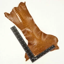 Ostrich Leg - Cognac -Leather Goods Sales Shop 63 840104.SLC .3