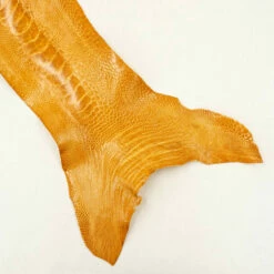 Ostrich Leg - Buttercup