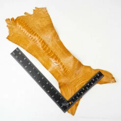 Ostrich Leg - Buttercup -Leather Goods Sales Shop 63 840105.SLC .3