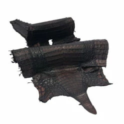 Belly Cut Caiman Skins 15 Belly Cut Caiman Skins -Leather Goods Sales Shop BCCS.Large .02