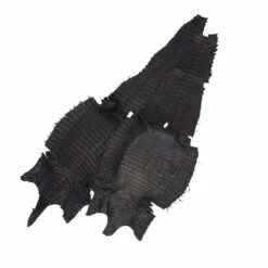 Belly Cut Caiman Skins