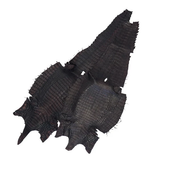 Belly Cut Caiman Skins 1 Belly Cut Caiman Skins