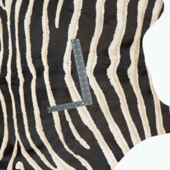 Rug, Hair-On, Zebra Print -Leather Goods Sales Shop FSL ZEBRA.SLC .3