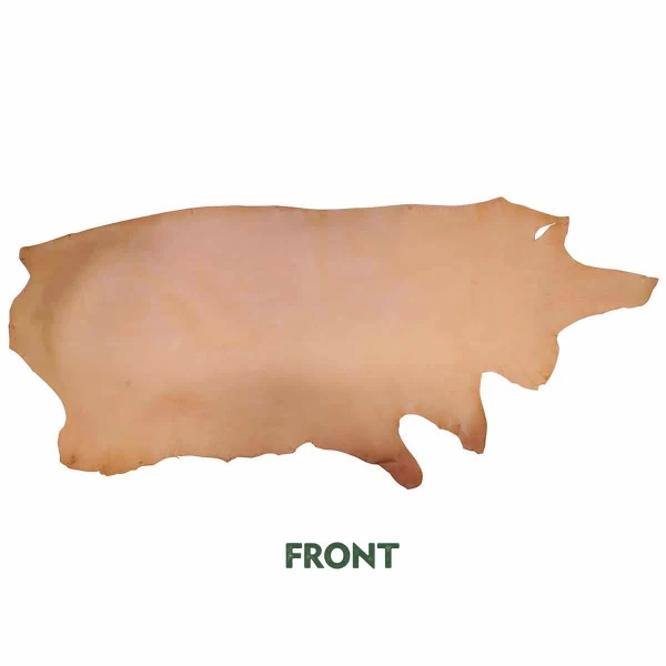 Hermann Oak A Grade 4 Hermann Oak A Grade - Image 4