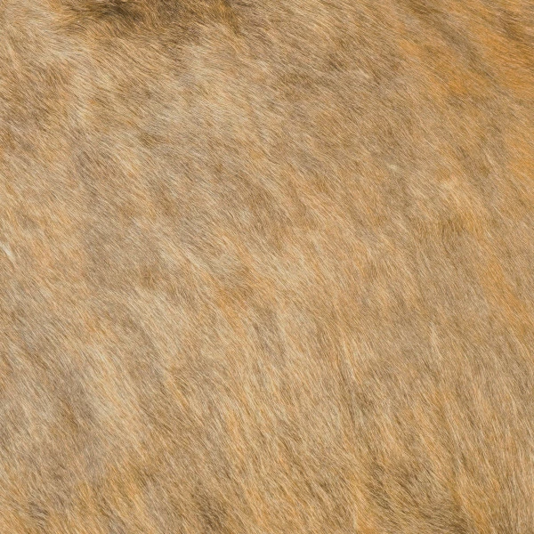 Hair-on Cowhide Pre-Cuts 6 Hair-on Cowhide Pre-Cuts - Image 6