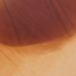 Import Double Shoulders -Leather Goods Sales Shop IDS.B20Grade.06