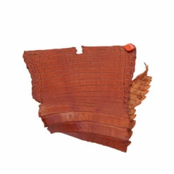 Nile Crocodile Tails -Leather Goods Sales Shop NCROC.Cognac.Belly .01