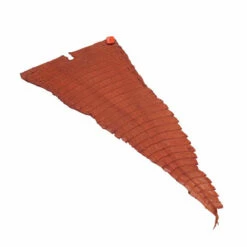 Nile Crocodile Tails -Leather Goods Sales Shop NCROC.Cognac.Belly .02