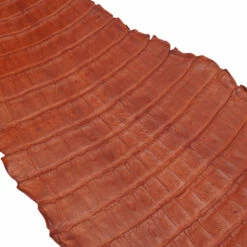 Nile Crocodile Tails -Leather Goods Sales Shop NCROC.Cognac.Belly .03