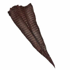Nile Crocodile Tails -Leather Goods Sales Shop NCROC.Cognac.Hornback.01
