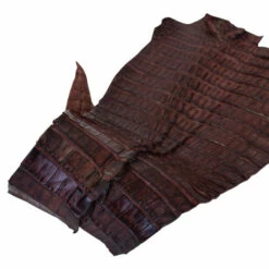 Nile Crocodile Tails -Leather Goods Sales Shop NCROC.Cognac.Hornback.03