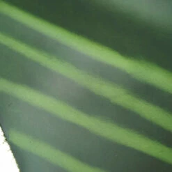 Oxford XCEL Sides 24 Oxford XCEL Sides -Leather Goods Sales Shop OXCEL.Kelly20Green.04