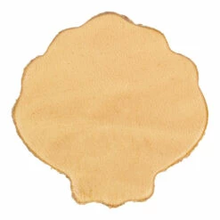 Camp & Craft Shape - Shell