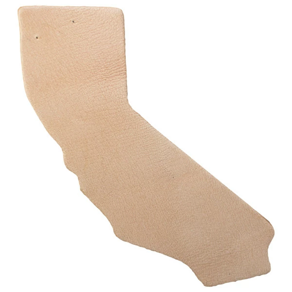 State Shape - California 1 State Shape - California