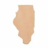State Shape - Illinois
