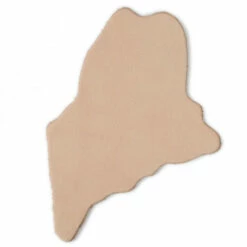 State Shape - Maine