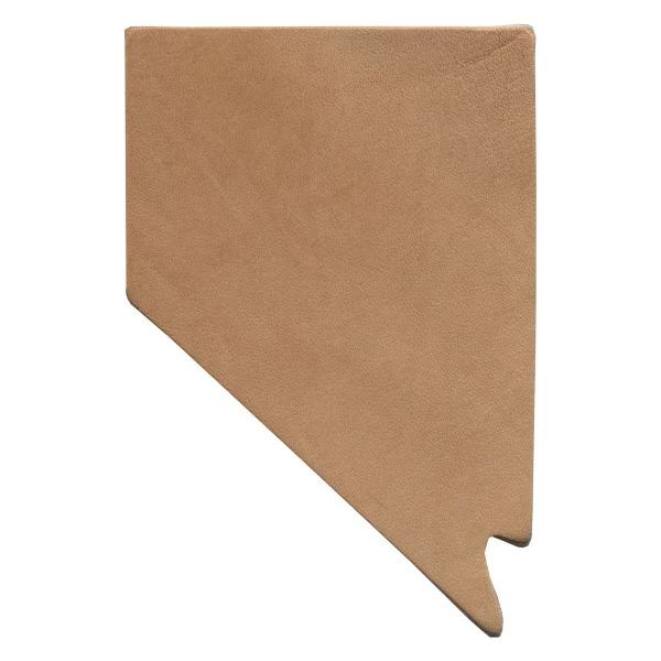 State Shape - Nevada 1 State Shape - Nevada