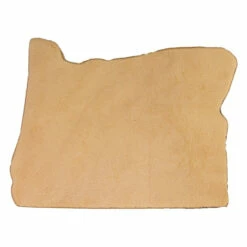 State Shape - Oregon