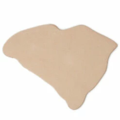 State Shape - South Carolina