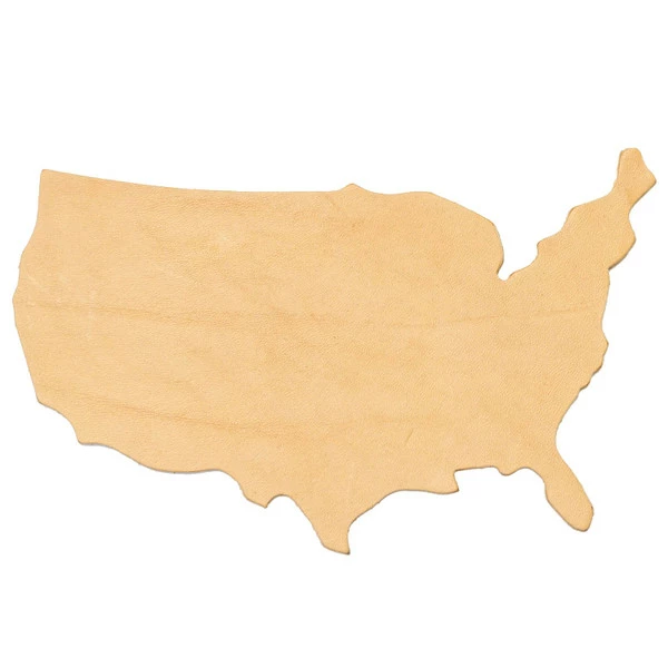 United States Shape 1 United States Shape