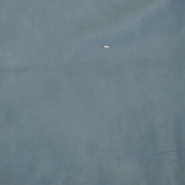 Stone Calf Skin 7 Stone Calf Skin - Image 7