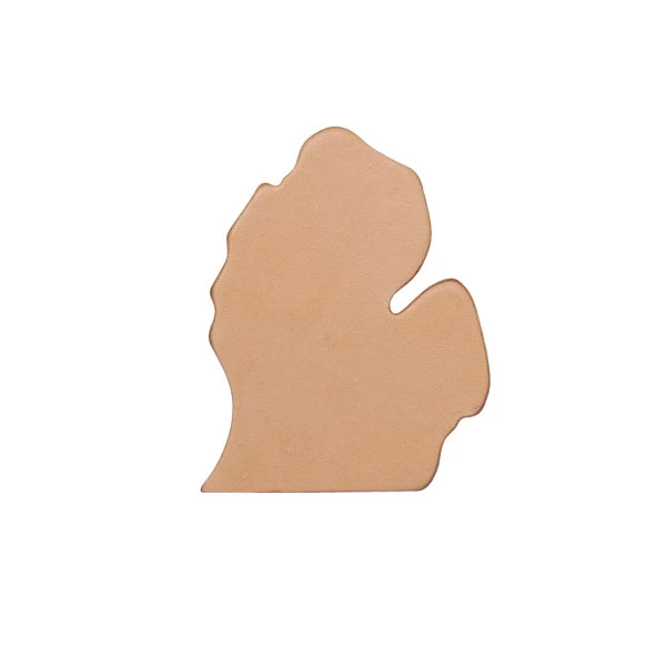 State Shape - Michigan 1 State Shape - Michigan