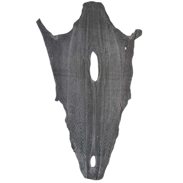 Safari Sharkskins 6 Safari Sharkskins - Image 6