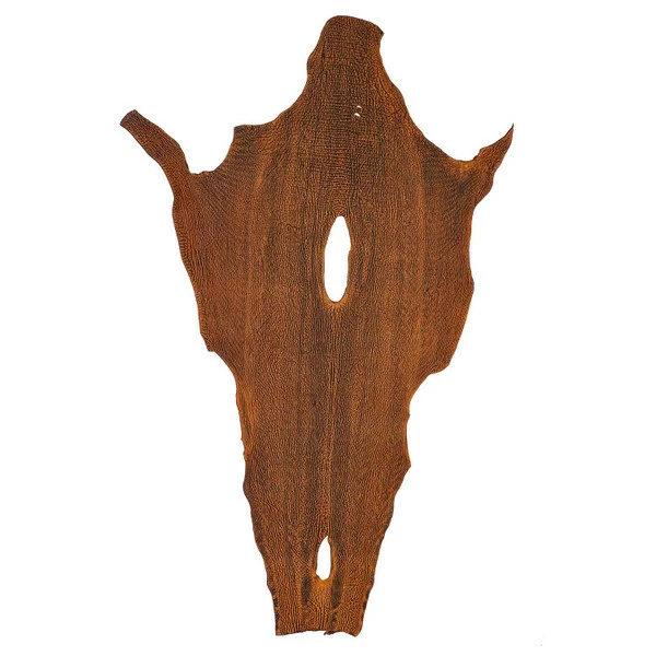 Safari Sharkskins 2 Safari Sharkskins - Image 2