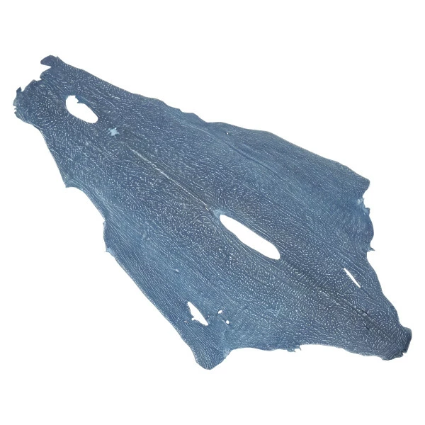 Safari Sharkskins 4 Safari Sharkskins - Image 4