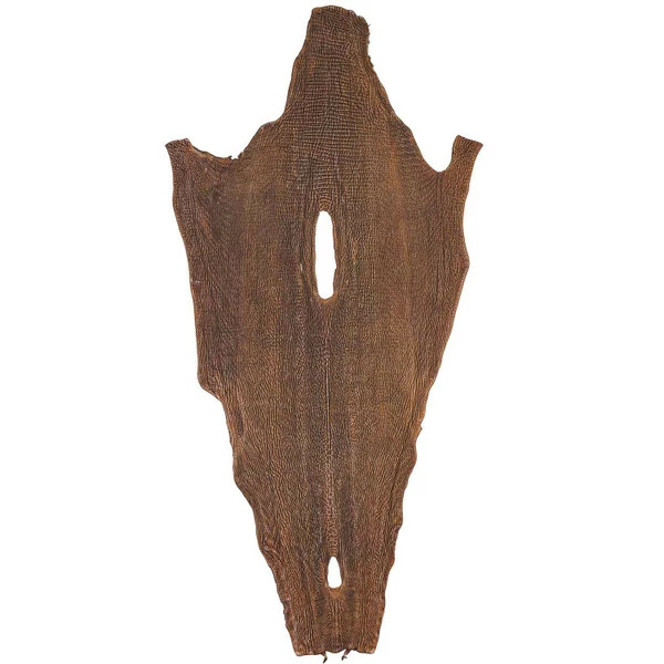 Safari Sharkskins 8 Safari Sharkskins - Image 8